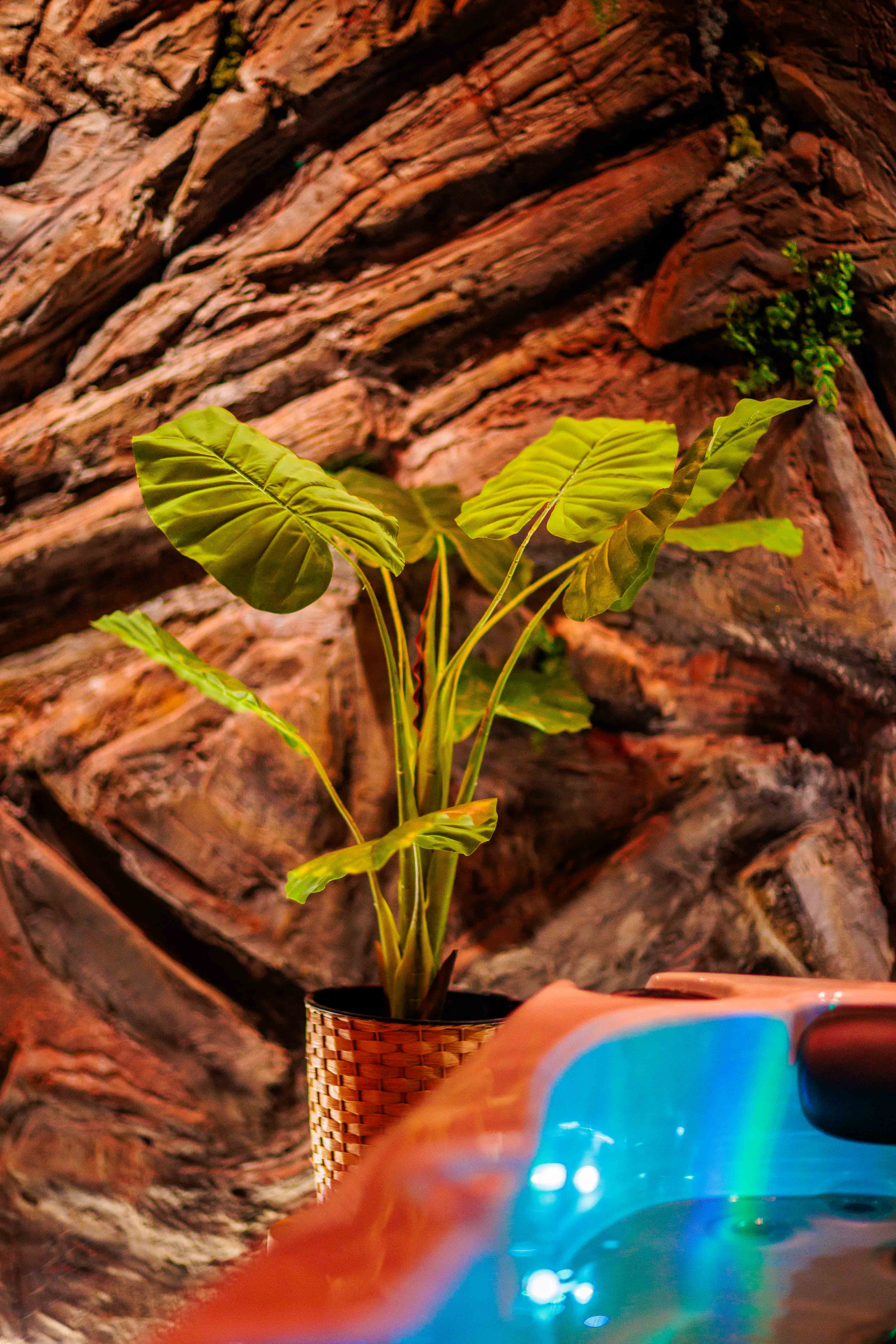 Galerij afbeelding 8